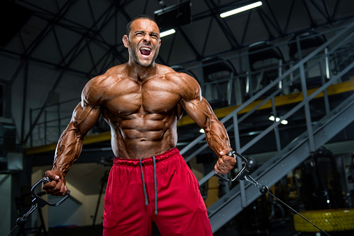 Bodybuilding Gambar Hd - KibrisPDR