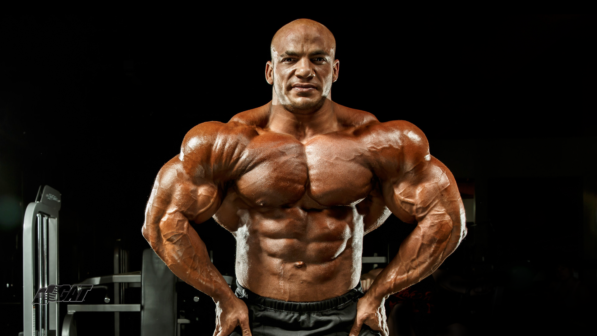 Detail Bodybuilding Gambar Hd Nomer 13