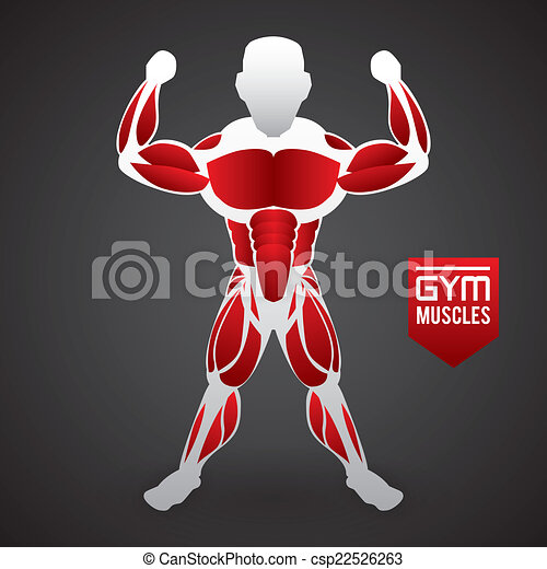 Detail Bodybuilding Graphics Nomer 30