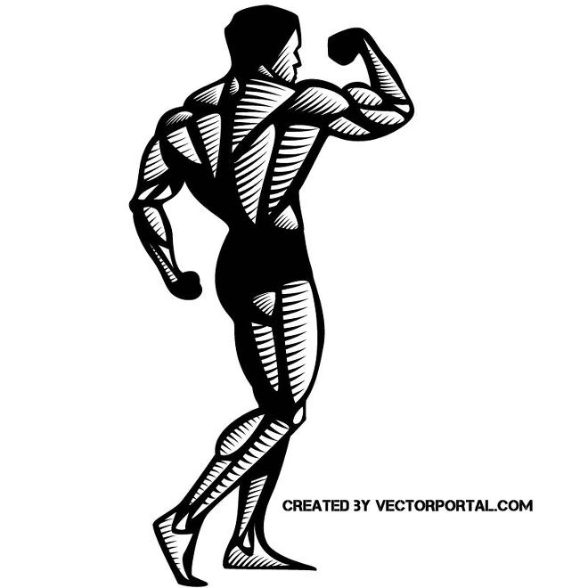 Detail Bodybuilding Graphics Nomer 41