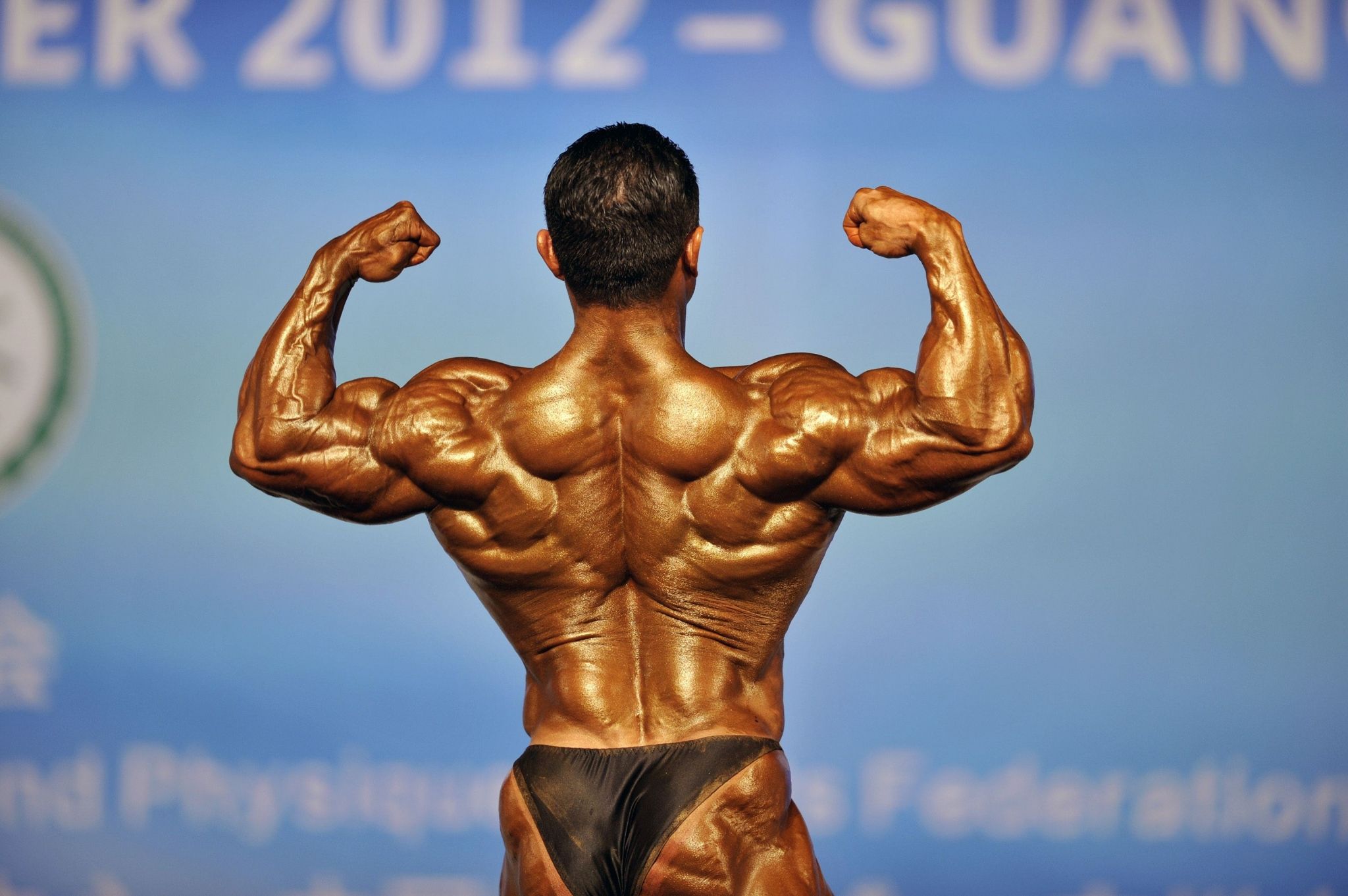 Detail Bodybuilding Hd Nomer 21