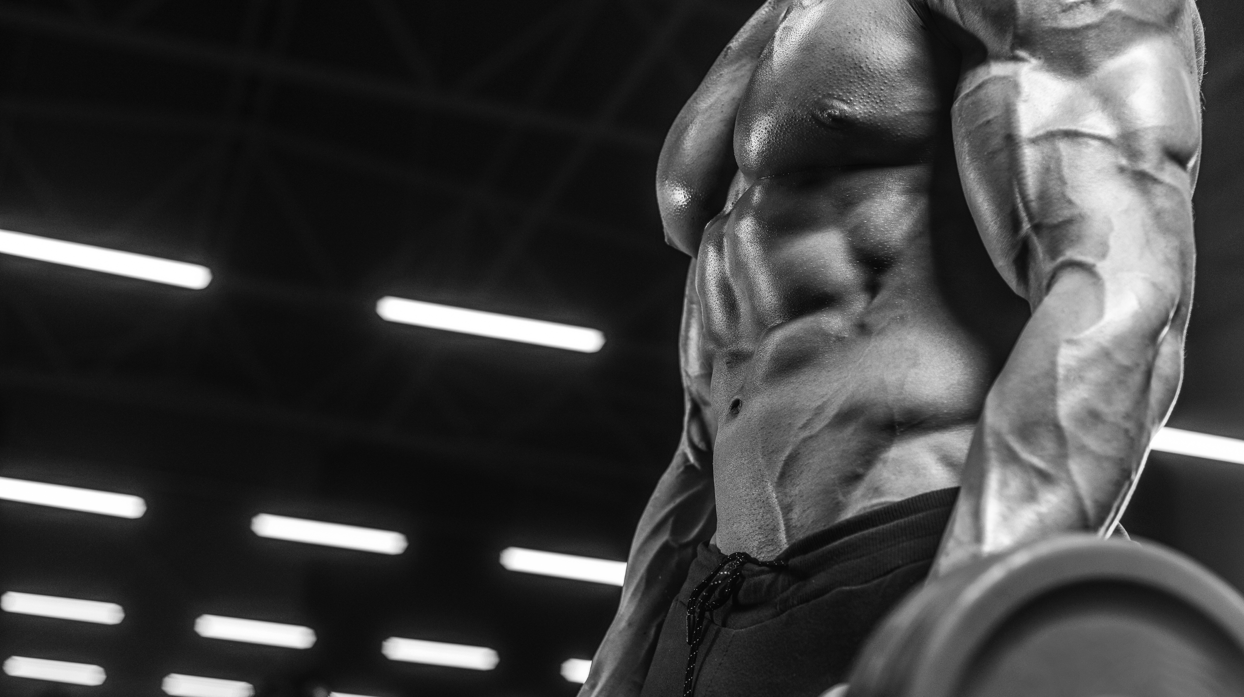 Detail Bodybuilding Image Nomer 22