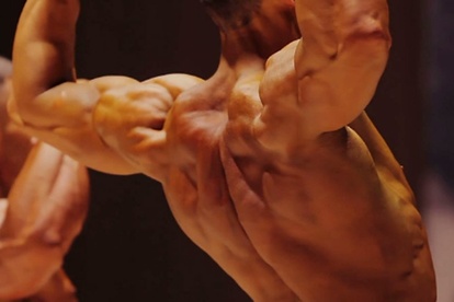 Detail Bodybuilding Image Nomer 41