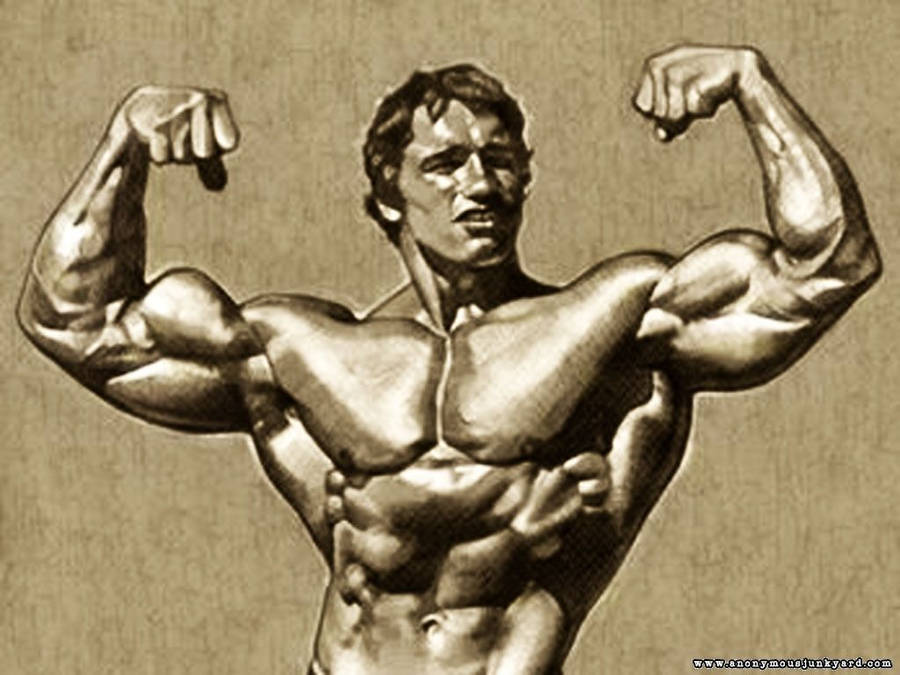 Detail Bodybuilding Image Gallery Nomer 32