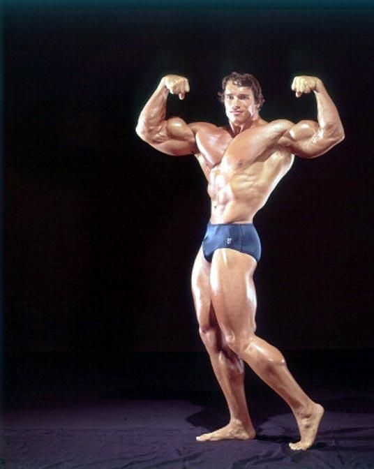 Detail Bodybuilding Image Gallery Nomer 38