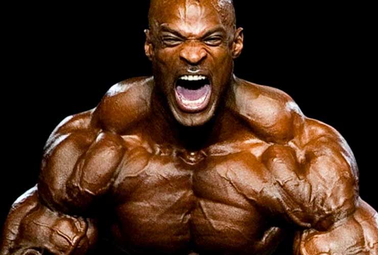 Detail Bodybuilding Images Nomer 15