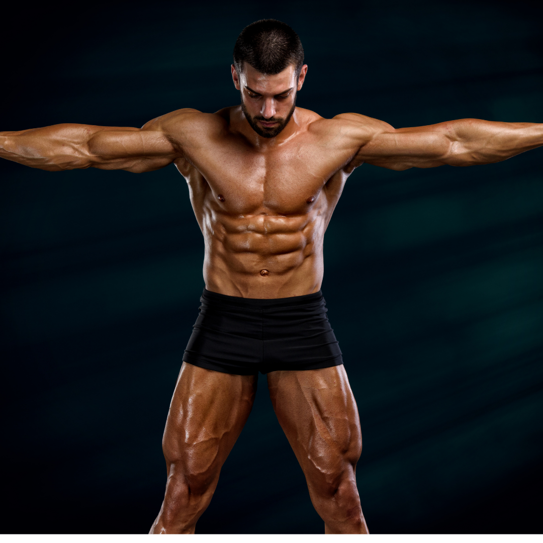 Detail Bodybuilding Images Nomer 16