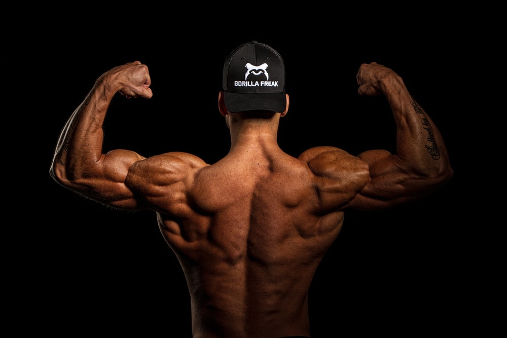 Detail Bodybuilding Images Nomer 47