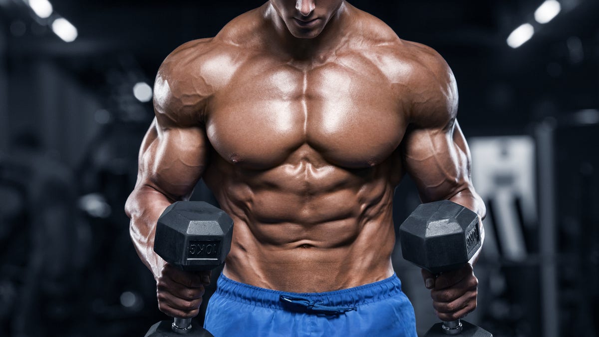 Detail Bodybuilding Images Nomer 8