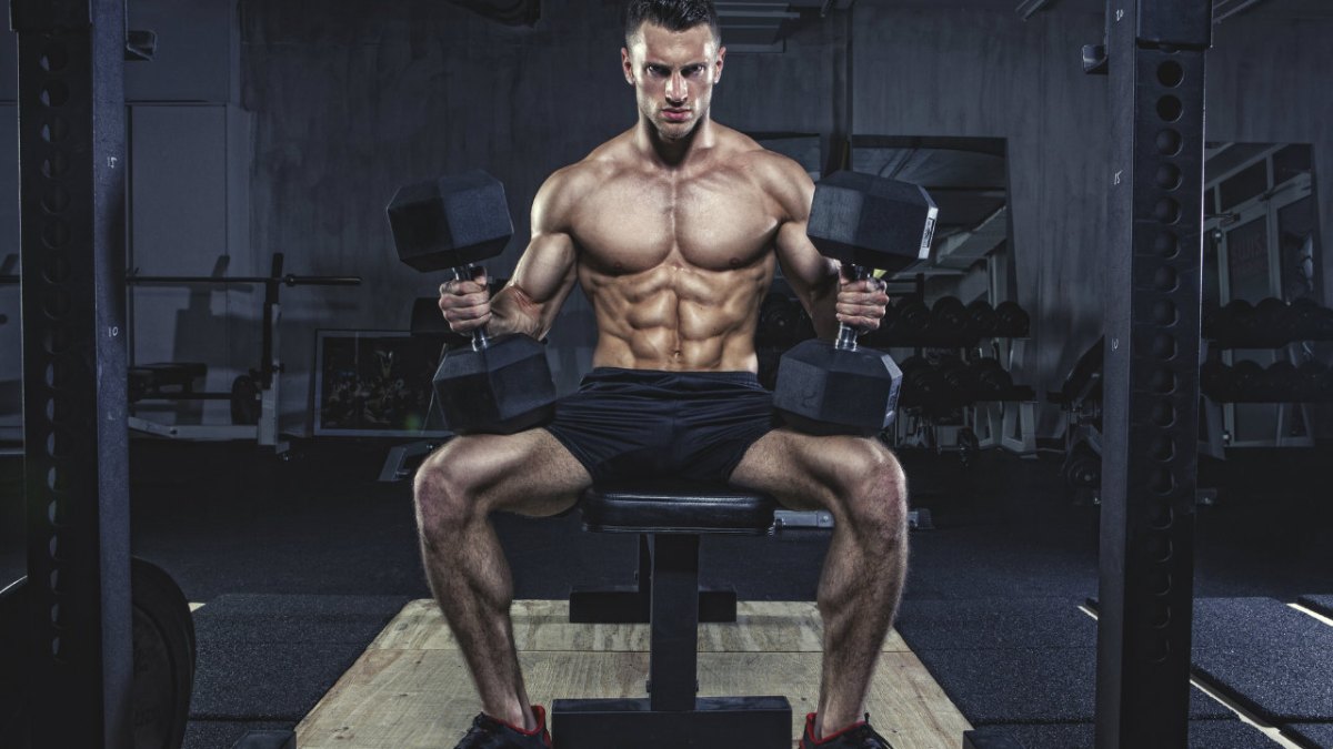 Detail Bodybuilding Images Nomer 10
