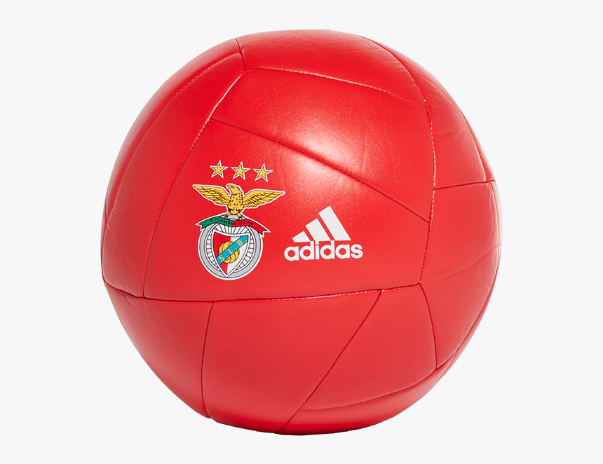 Detail Bola Png Hd Nomer 55