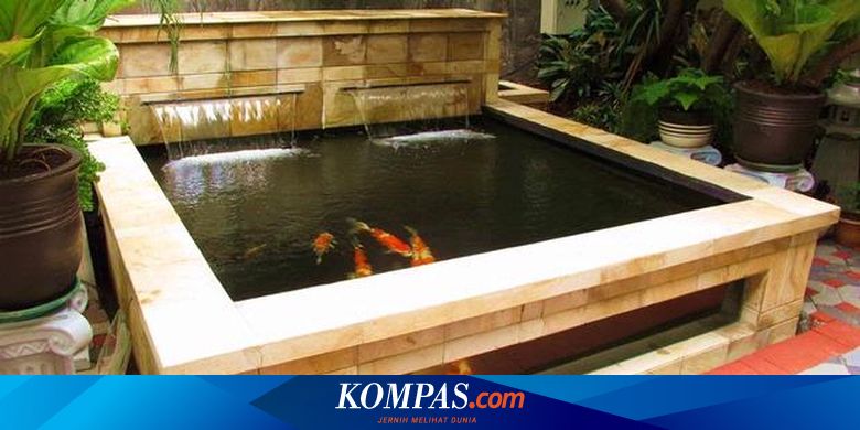 Detail Bolehkah Kolam Ikan Didalam Rumah Nomer 32