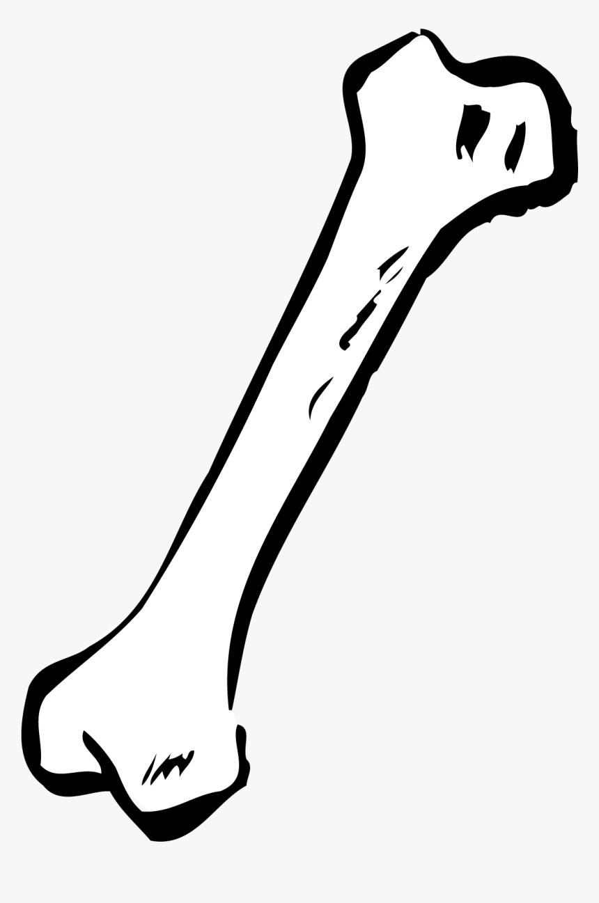 Detail Bone Clipart Nomer 7