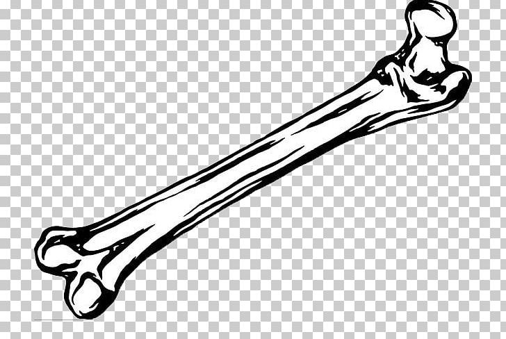 Detail Bone Clipart Black And White Nomer 25