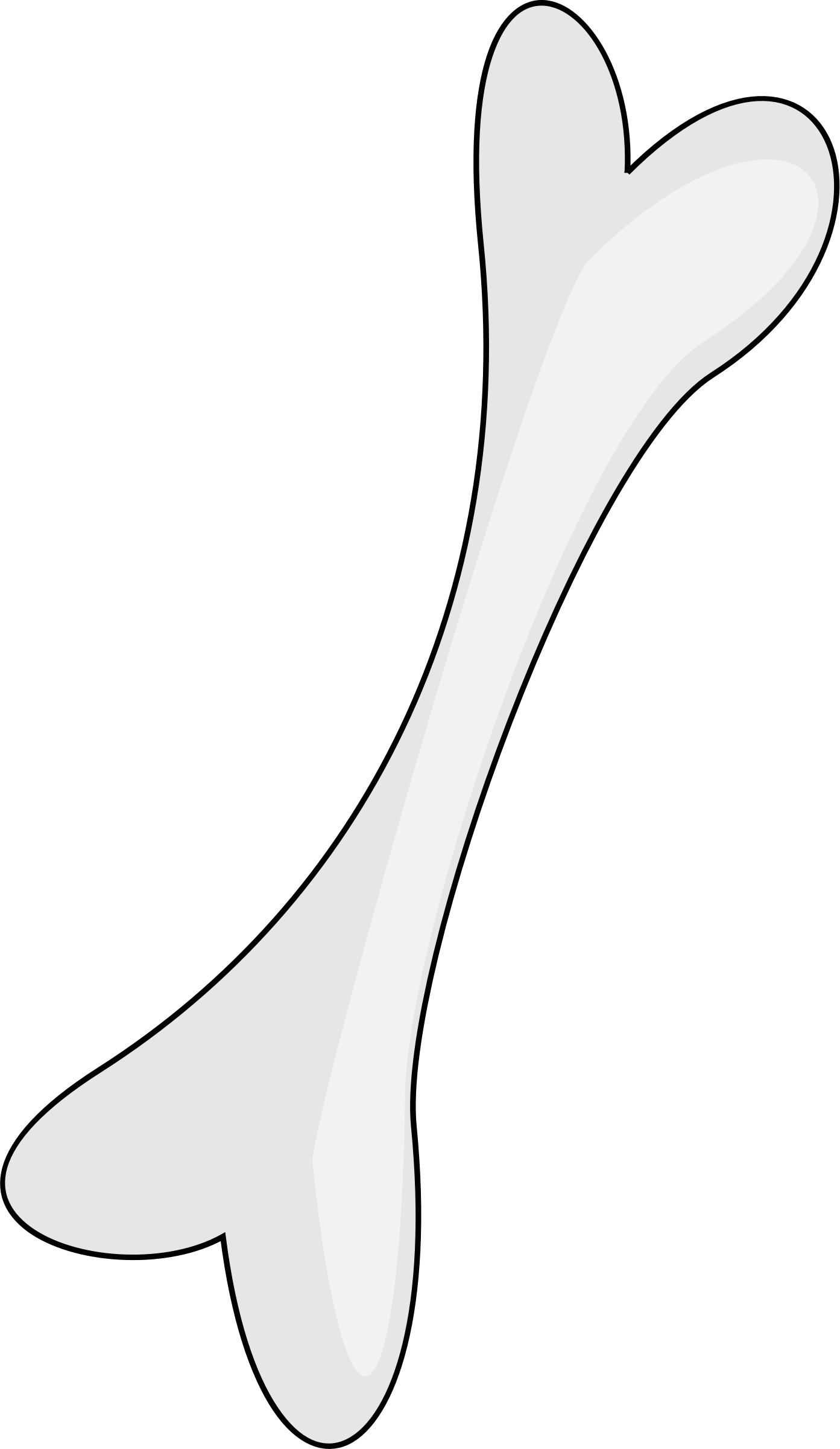 Detail Bone No Background Nomer 27