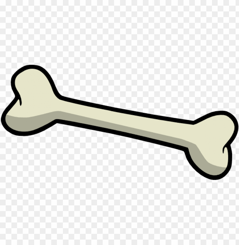 Detail Bone No Background Nomer 3