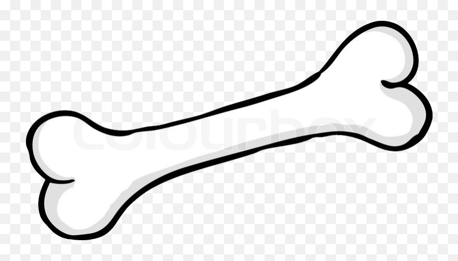 Detail Bone No Background Nomer 49