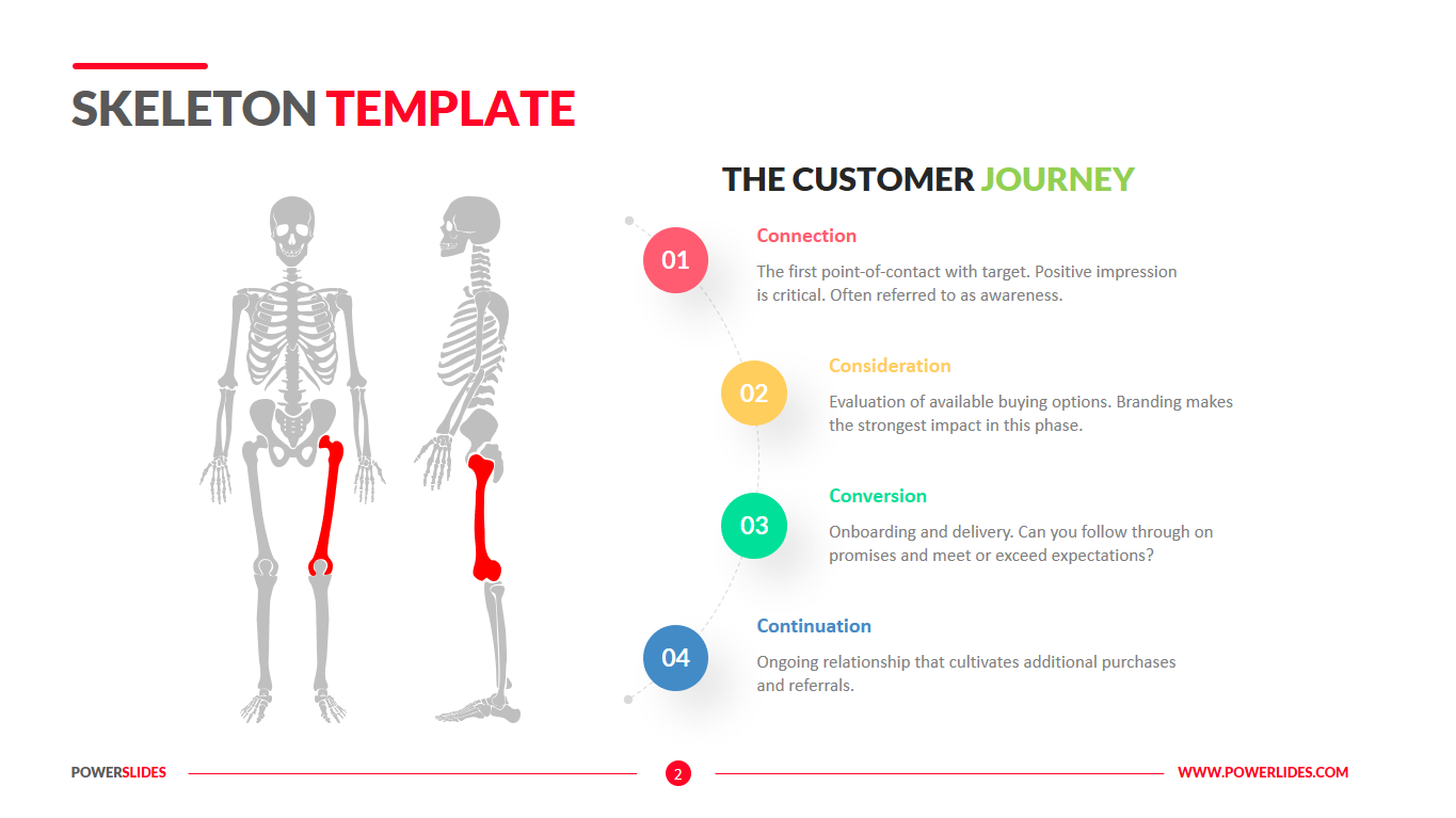 Detail Bone Powerpoint Template Nomer 23