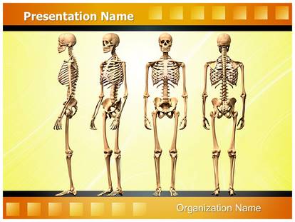 Detail Bone Powerpoint Template Nomer 34