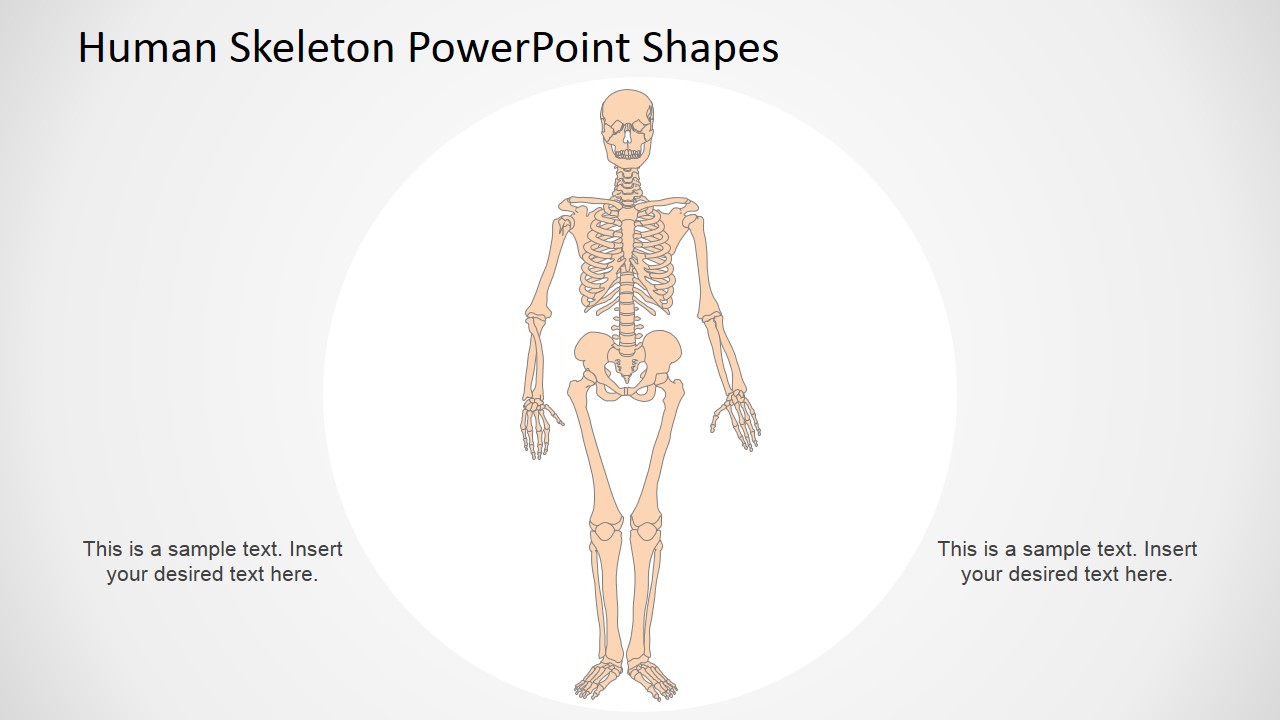 Detail Bone Powerpoint Template Nomer 10