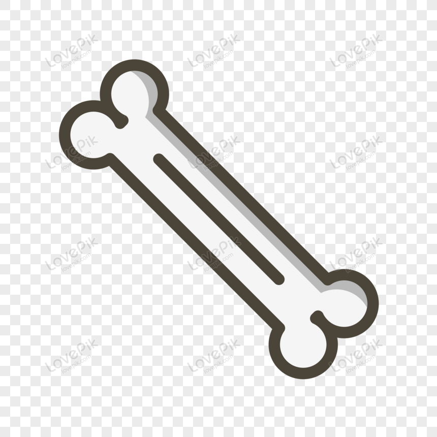 Detail Bone Vector Png Nomer 10