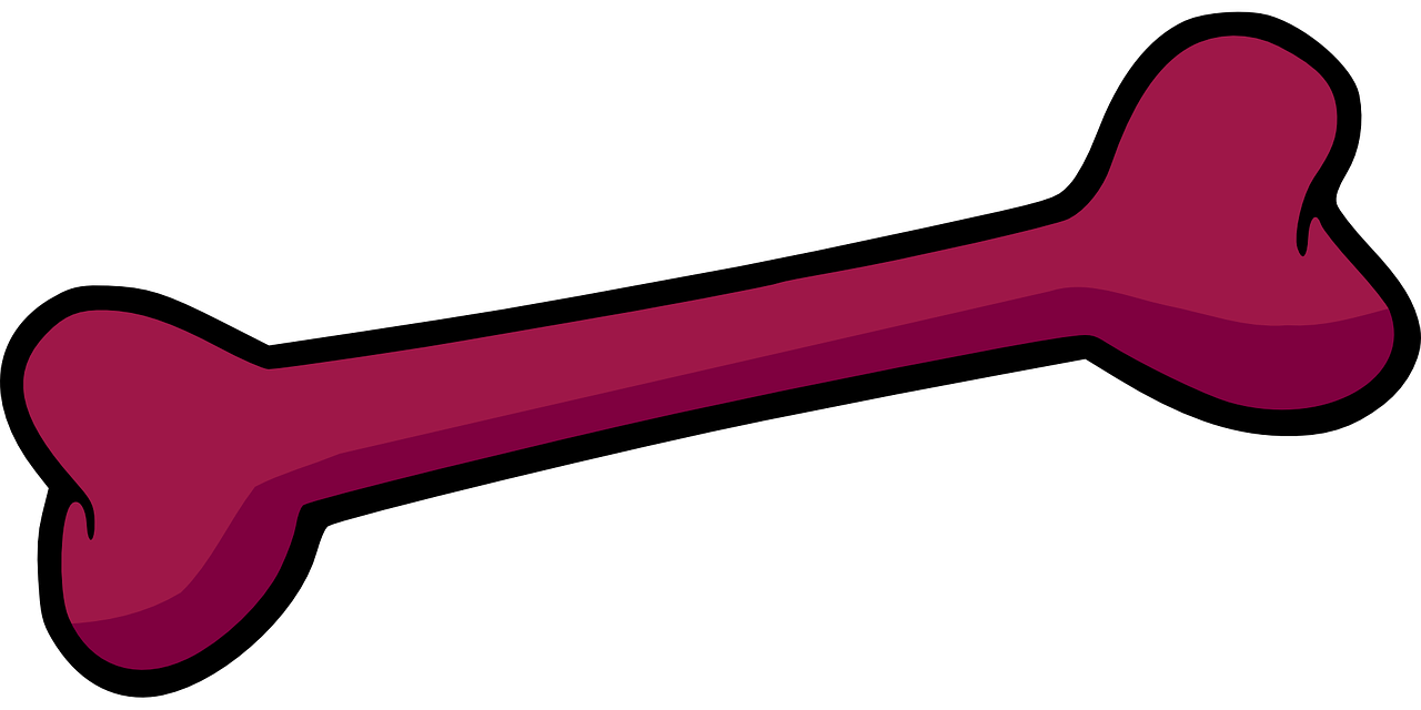 Detail Bone Vector Png Nomer 17