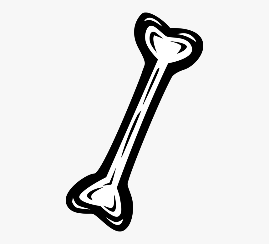 Detail Bone Vector Png Nomer 19