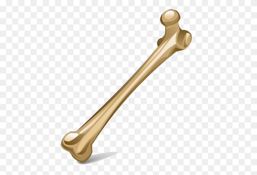 Detail Bone Vector Png Nomer 42