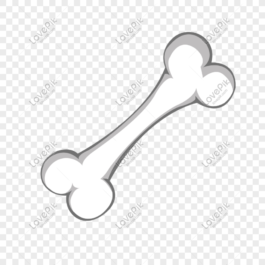 Detail Bone Vector Png Nomer 47