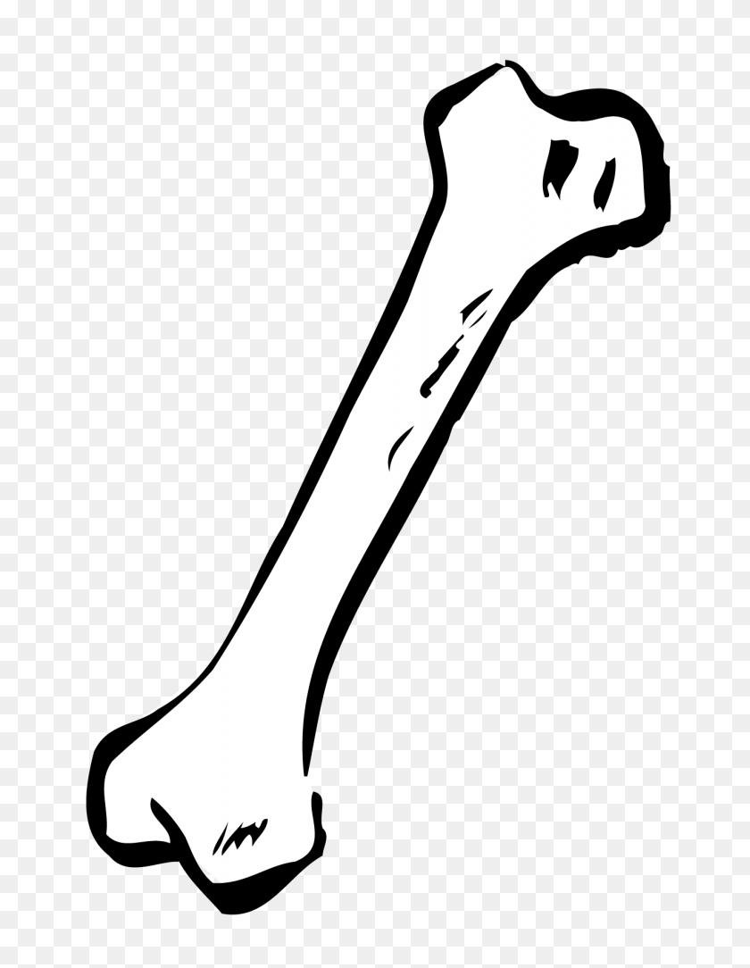 Detail Bone Vector Png Nomer 7