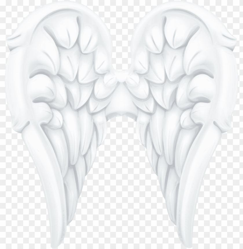 Detail Bone Wings Png Nomer 42