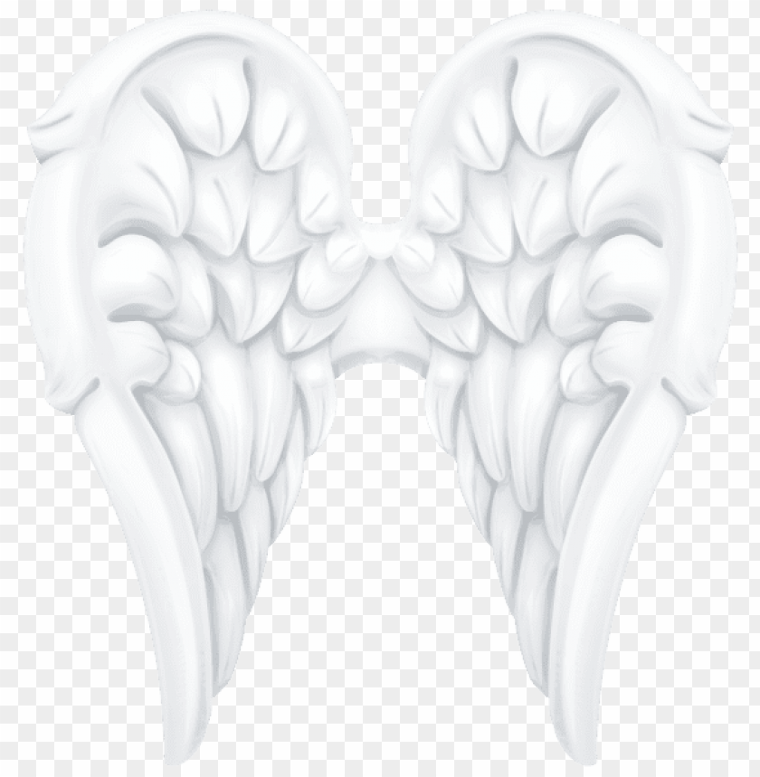 Detail Bone Wings Png Nomer 53