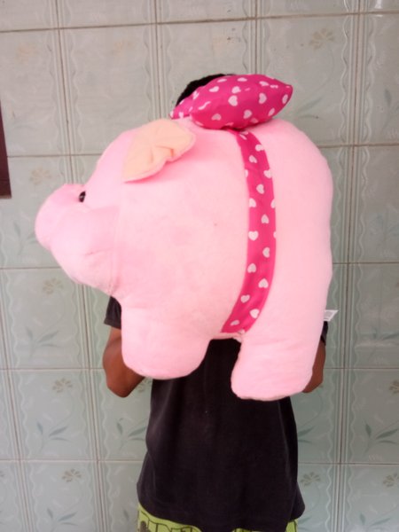 Detail Boneka Babi Jumbo Nomer 30