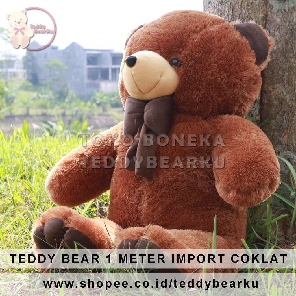 Detail Boneka Bear Coklat Nomer 24