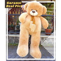 Detail Boneka Beruang Besar Lucu Nomer 30