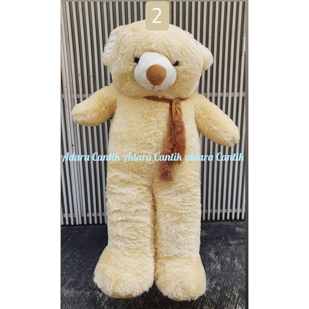 Detail Boneka Beruang Cantik Nomer 43