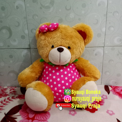 Detail Boneka Beruang Cantik Nomer 44