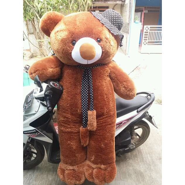 Detail Boneka Beruang Coklat Besar Nomer 14