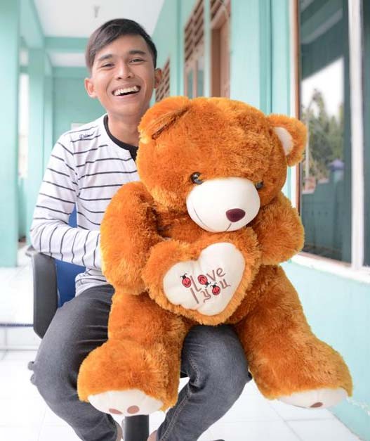 Detail Boneka Beruang Coklat Besar Nomer 56