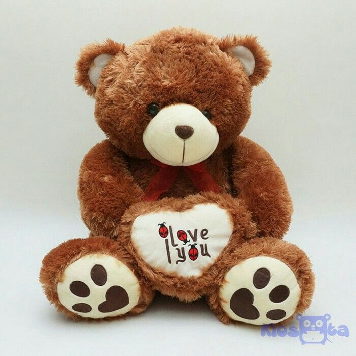 Detail Boneka Beruang Lucu Besar Nomer 11