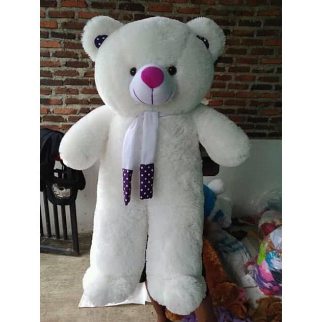 Detail Boneka Beruang Terbesar Nomer 35