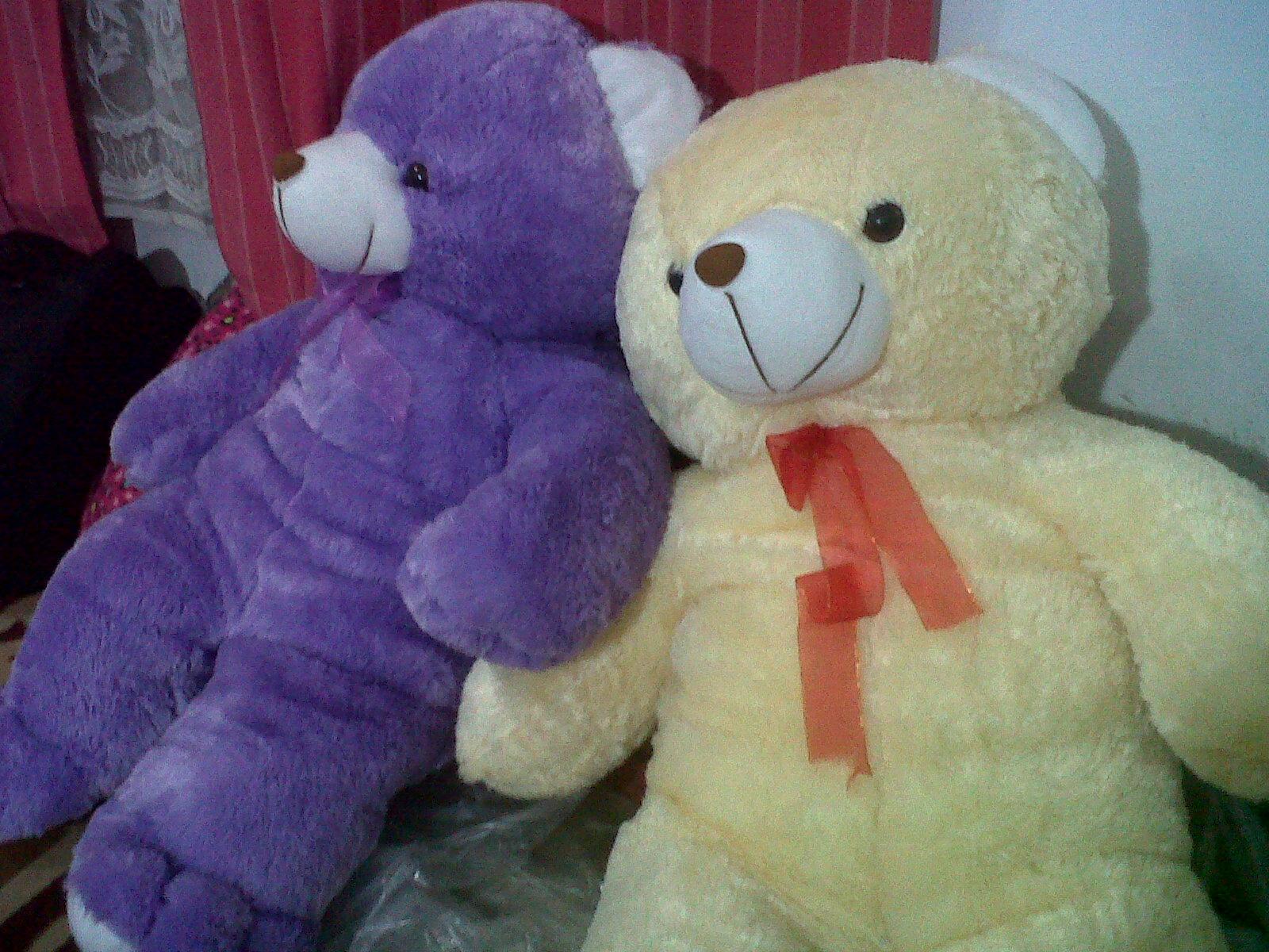 Detail Boneka Beruang Terbesar Nomer 54