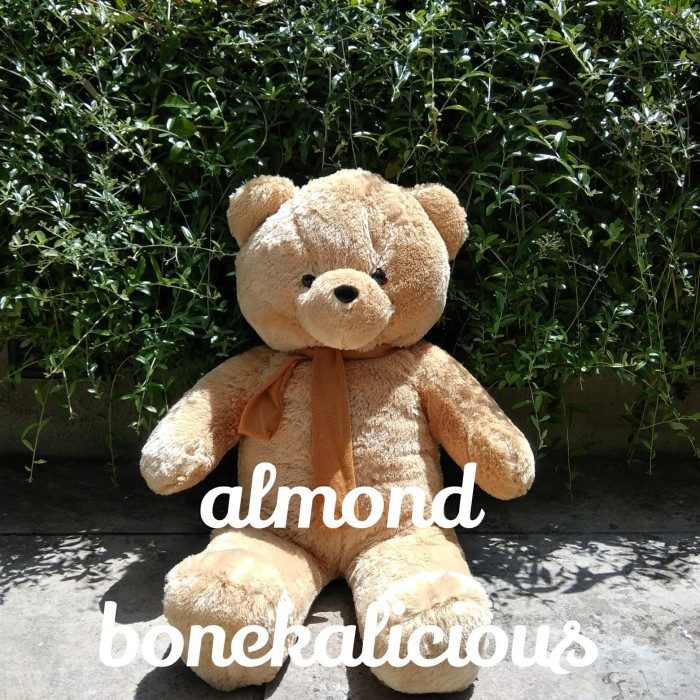 Detail Boneka Beruang Terbesar Nomer 56