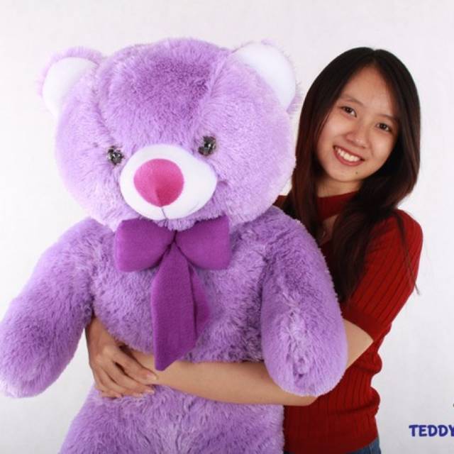 Detail Boneka Beruang Ungu Nomer 19
