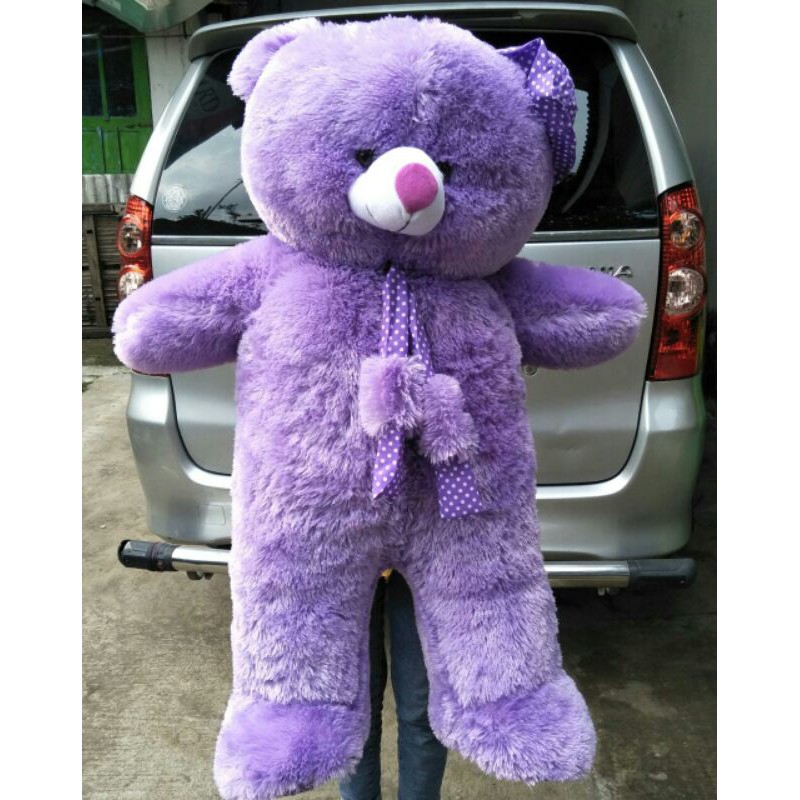 Detail Boneka Beruang Ungu Nomer 5