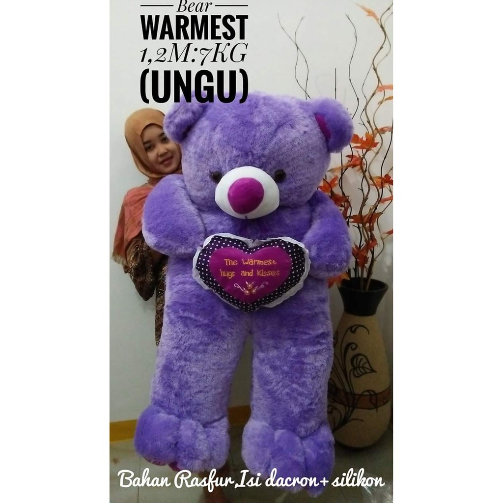 Detail Boneka Beruang Ungu Nomer 48