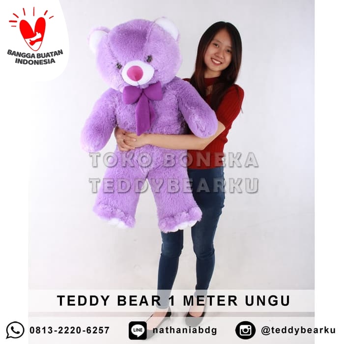 Detail Boneka Beruang Ungu Nomer 49