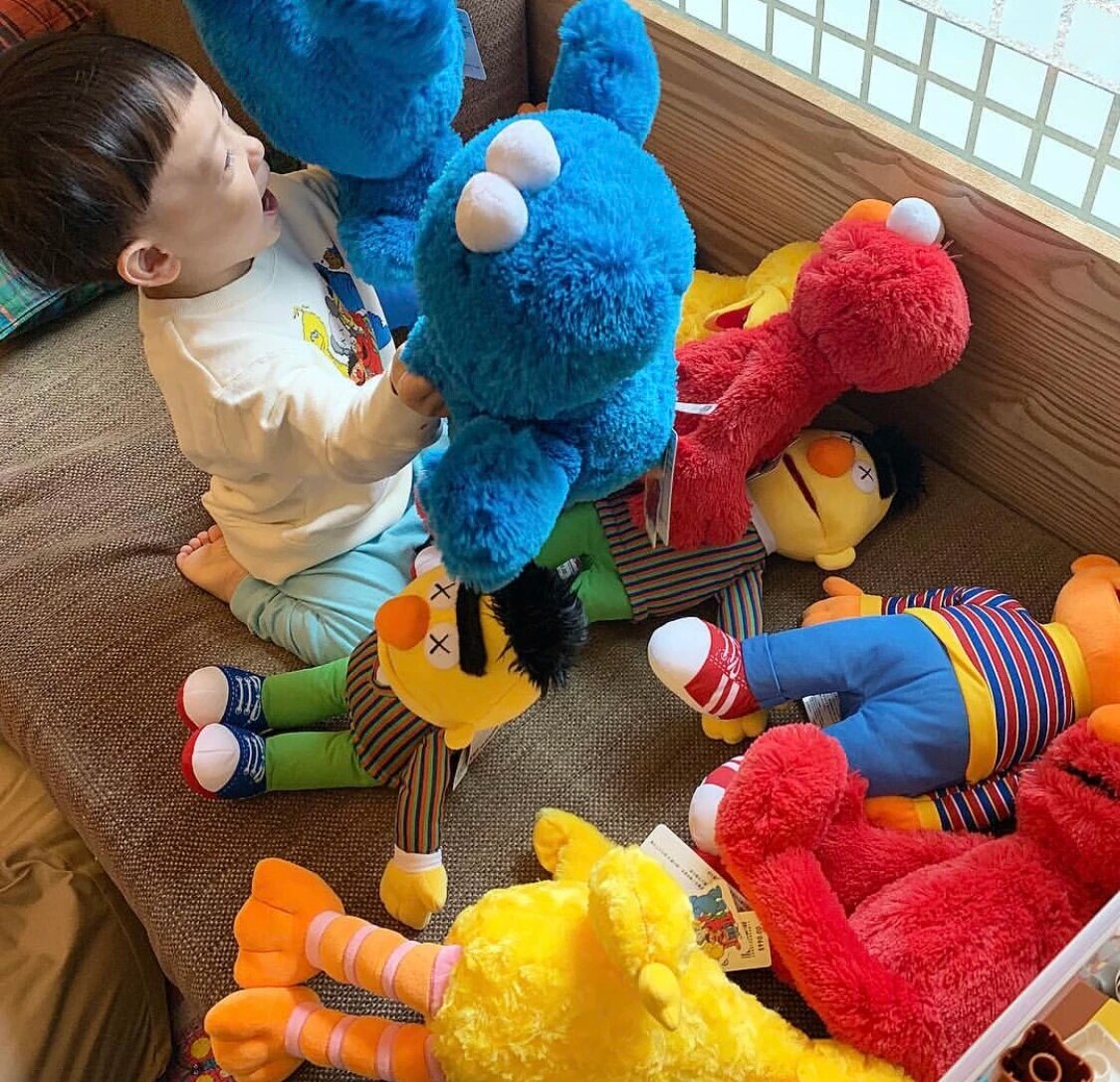 Detail Boneka Big Bird Nomer 46