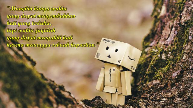 Detail Boneka Danbo Dengan Kata Kata Romantis Nomer 2