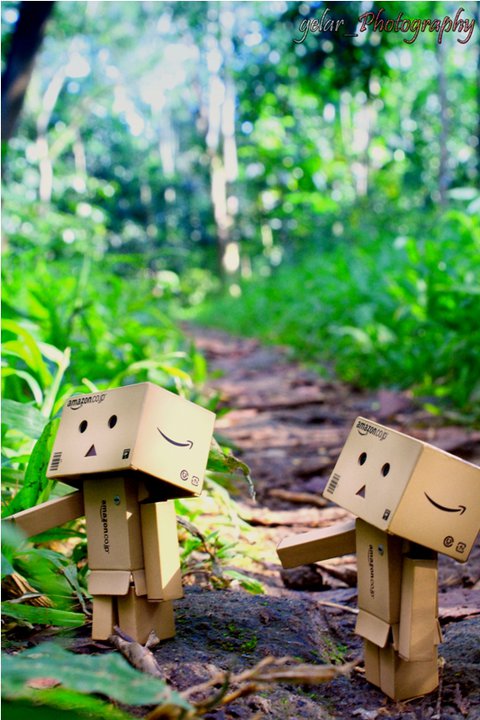 Detail Boneka Danbo Dengan Kata Kata Romantis Nomer 24